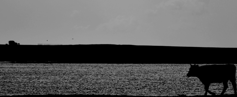 _DSC4944.JPG