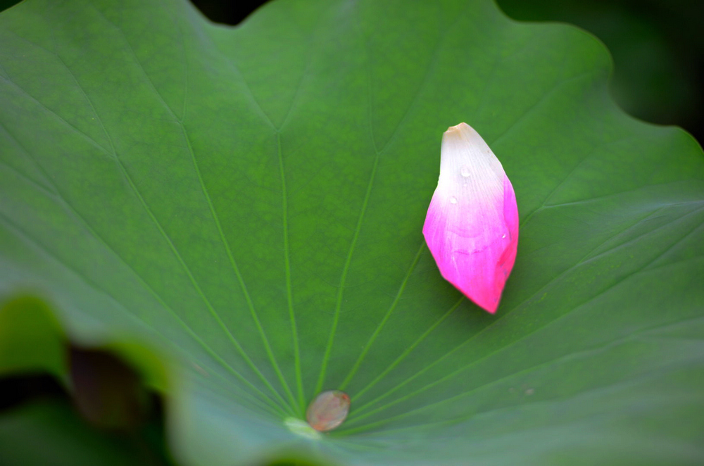 2014.06.28丰庆公园6.jpg