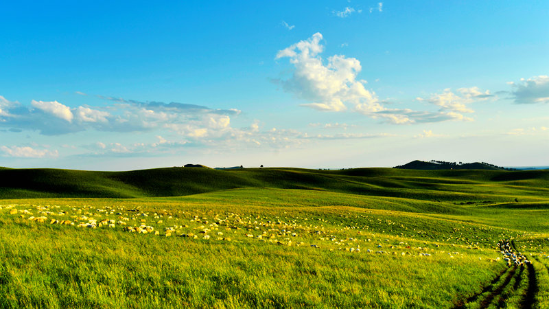 _DSC7053.JPG