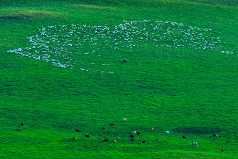 _DSC7025.JPG