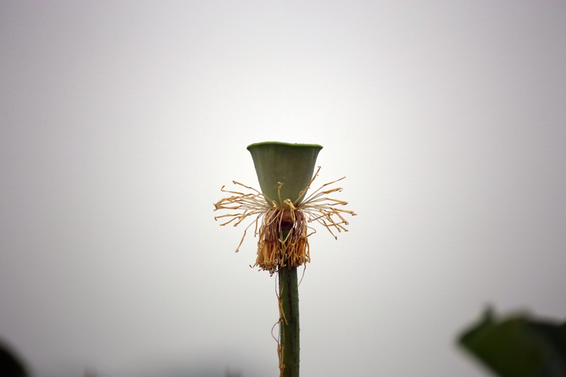 IMG_6300_副本.jpg