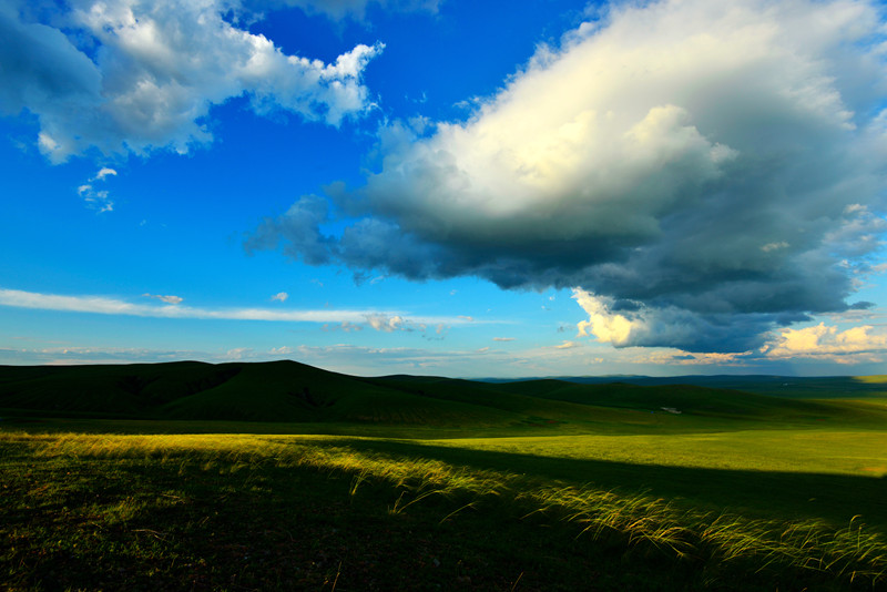 _DSC8690.JPG