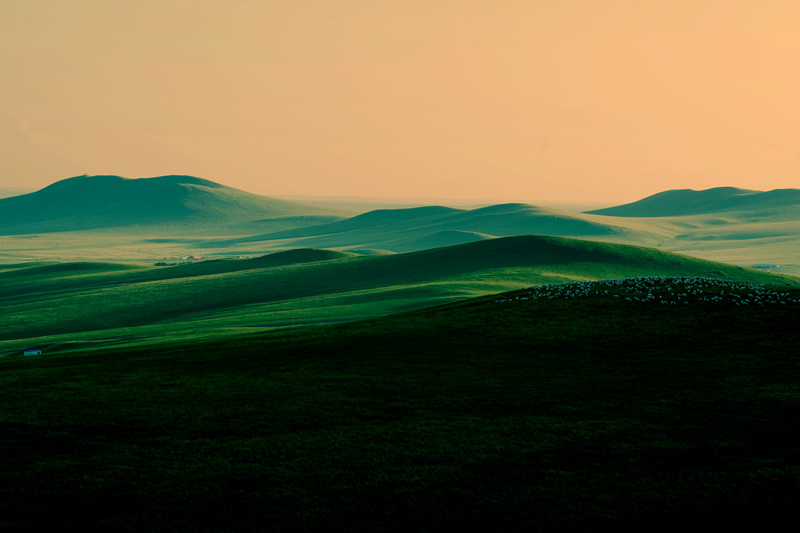 _DSC8696.JPG