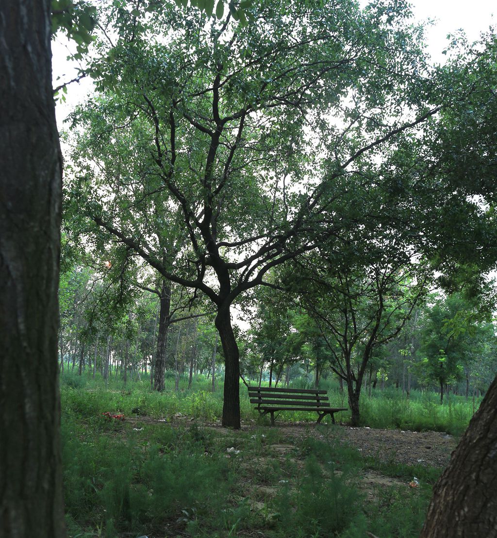 IMGM0890_副本.jpg