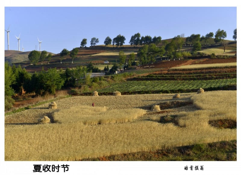 conew_2014.5云南行 367_小图.jpg