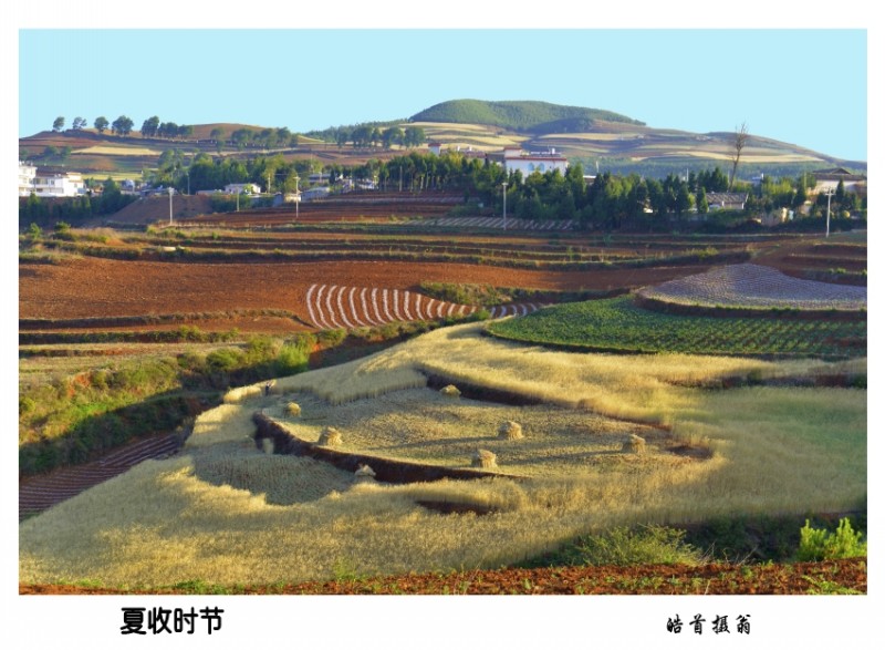 conew_2014.5云南行 371_小图.jpg