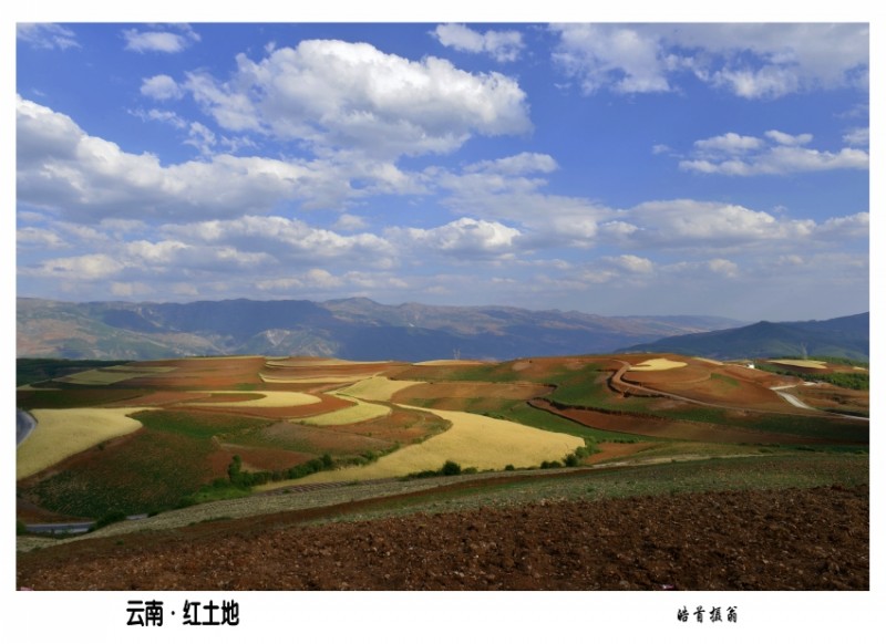 conew__dsc1100_小图.jpg