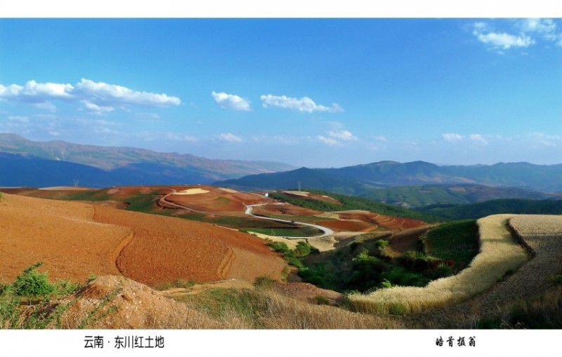 conew_l1350583_小图.jpg
