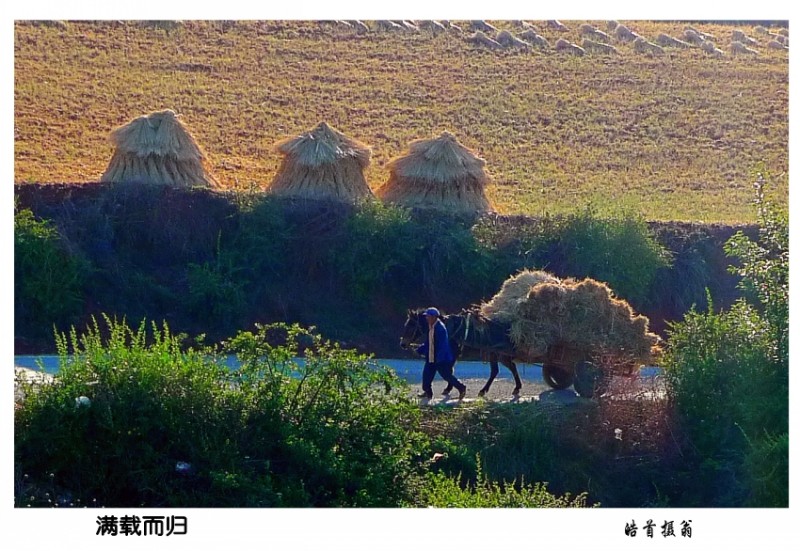 conew_满载而归_小图.jpg