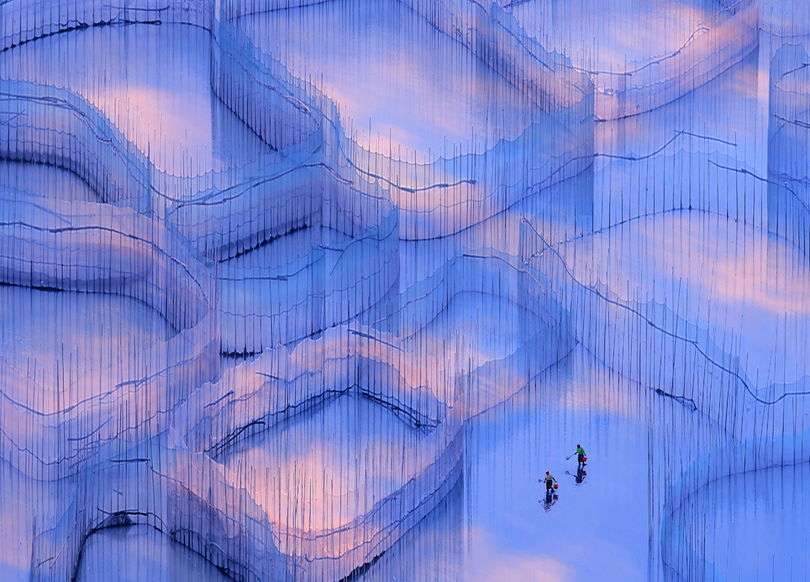 Clouds fence.jpg