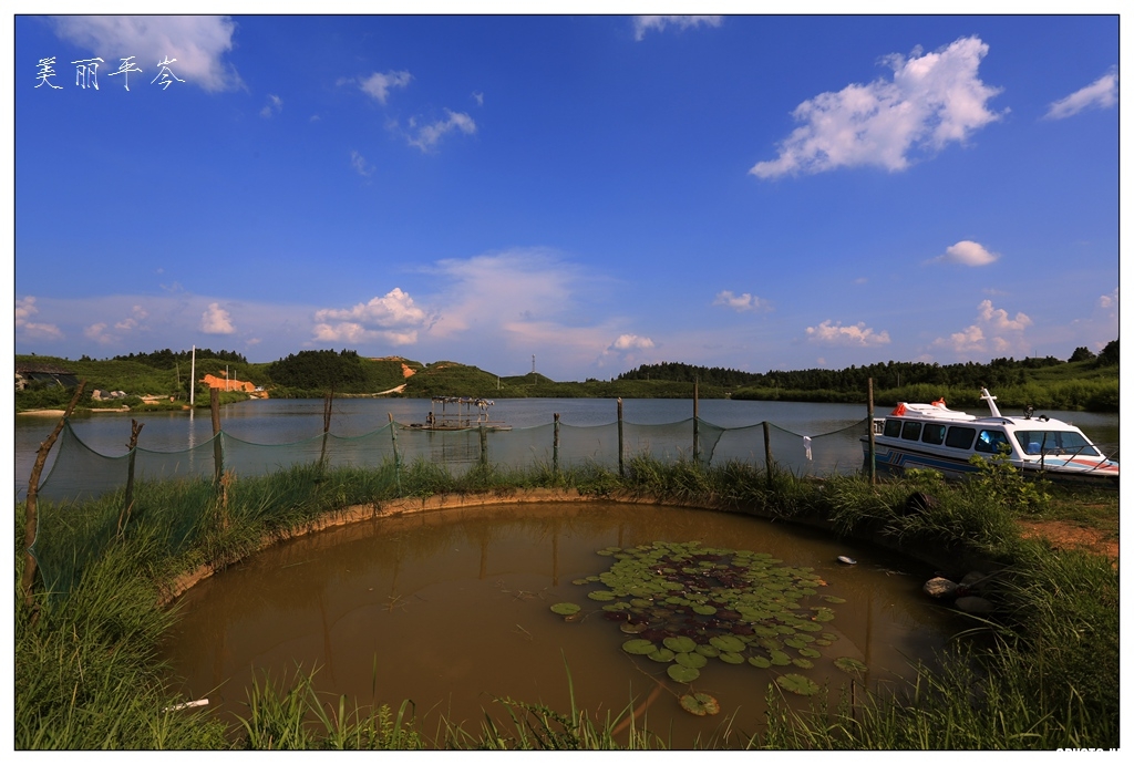 美丽平岑湖  钟传坤 摄 (1).JPG
