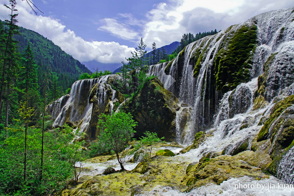 _MG_6729-2.jpg