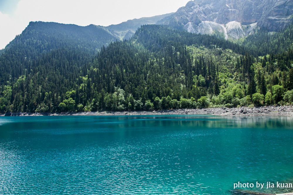 _MG_6749-1.jpg