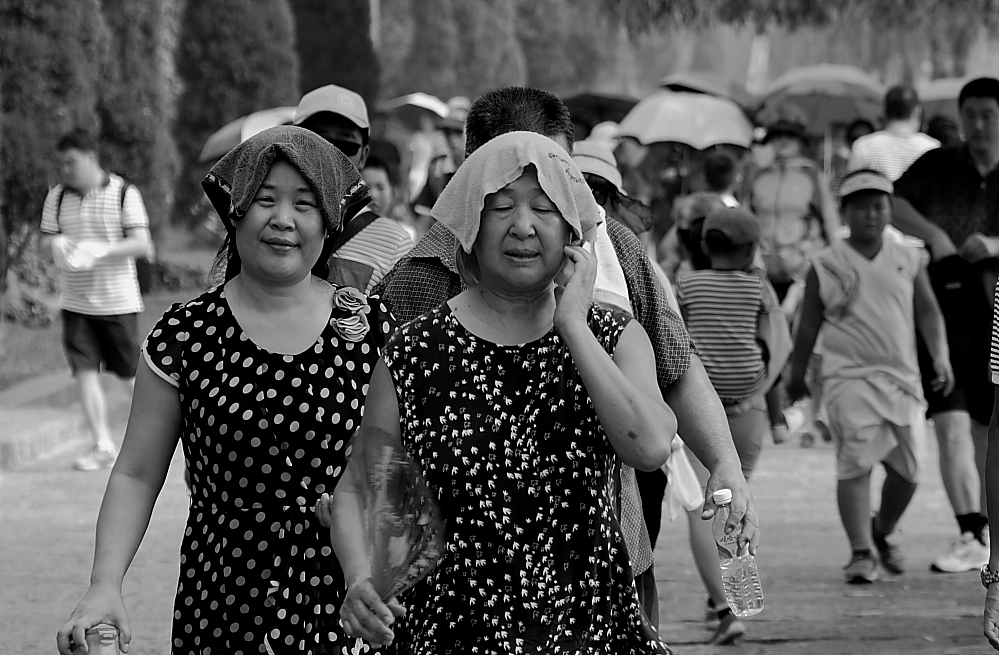 IMG_9929随拍.JPG