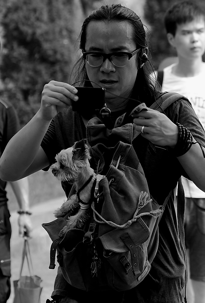 IMG_9934随拍.JPG