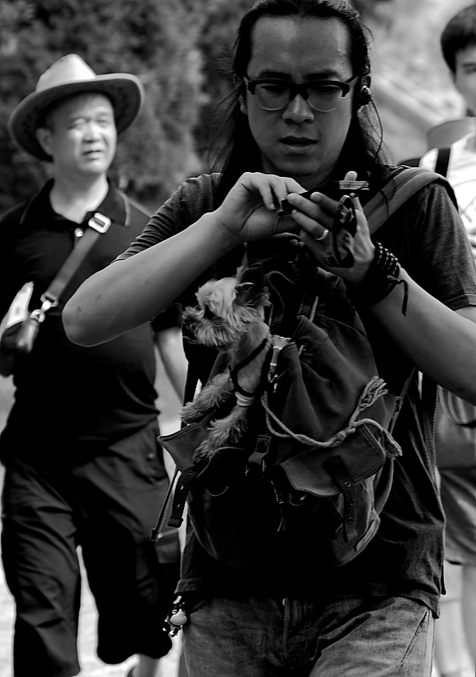 IMG_9935随拍.JPG