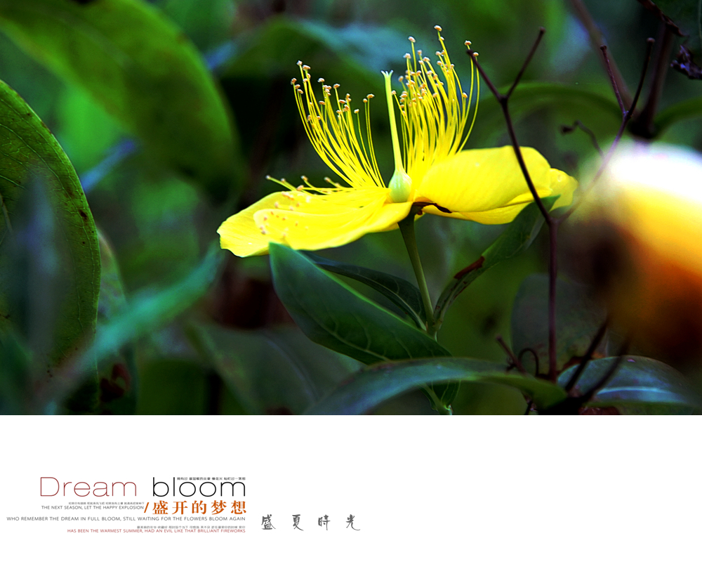 IMG_4750_副本.jpg