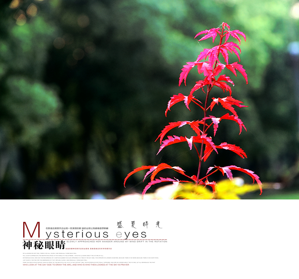 IMG_4749_副本.jpg