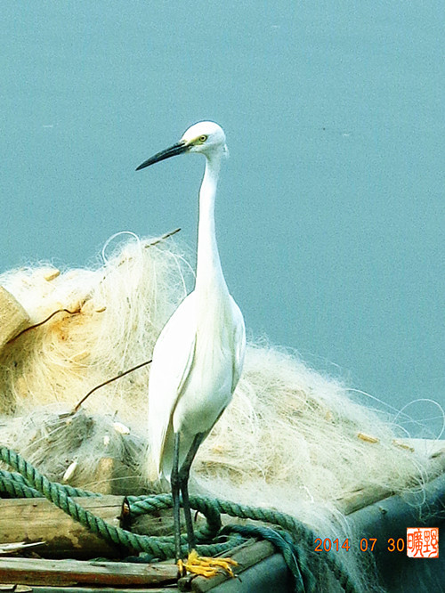 DSC02643_副本.jpg