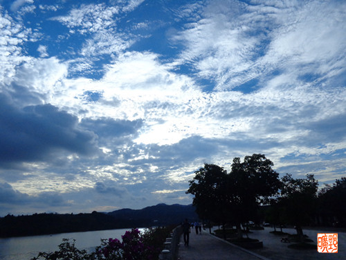 DSC00323_副本.jpg