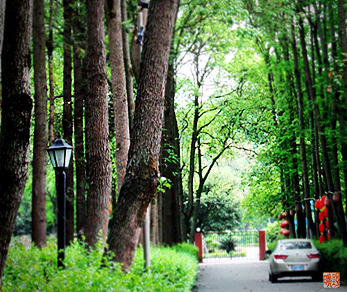 DSC00237_副本.jpg