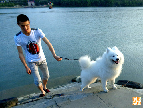 DSC00381_副本.jpg