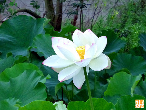 DSC01259_副本.jpg