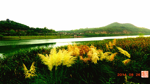 DSC03933_副本_副本.jpg