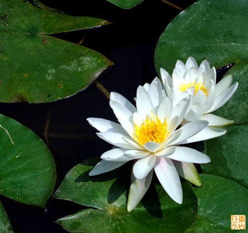 DSC01887_副本.jpg