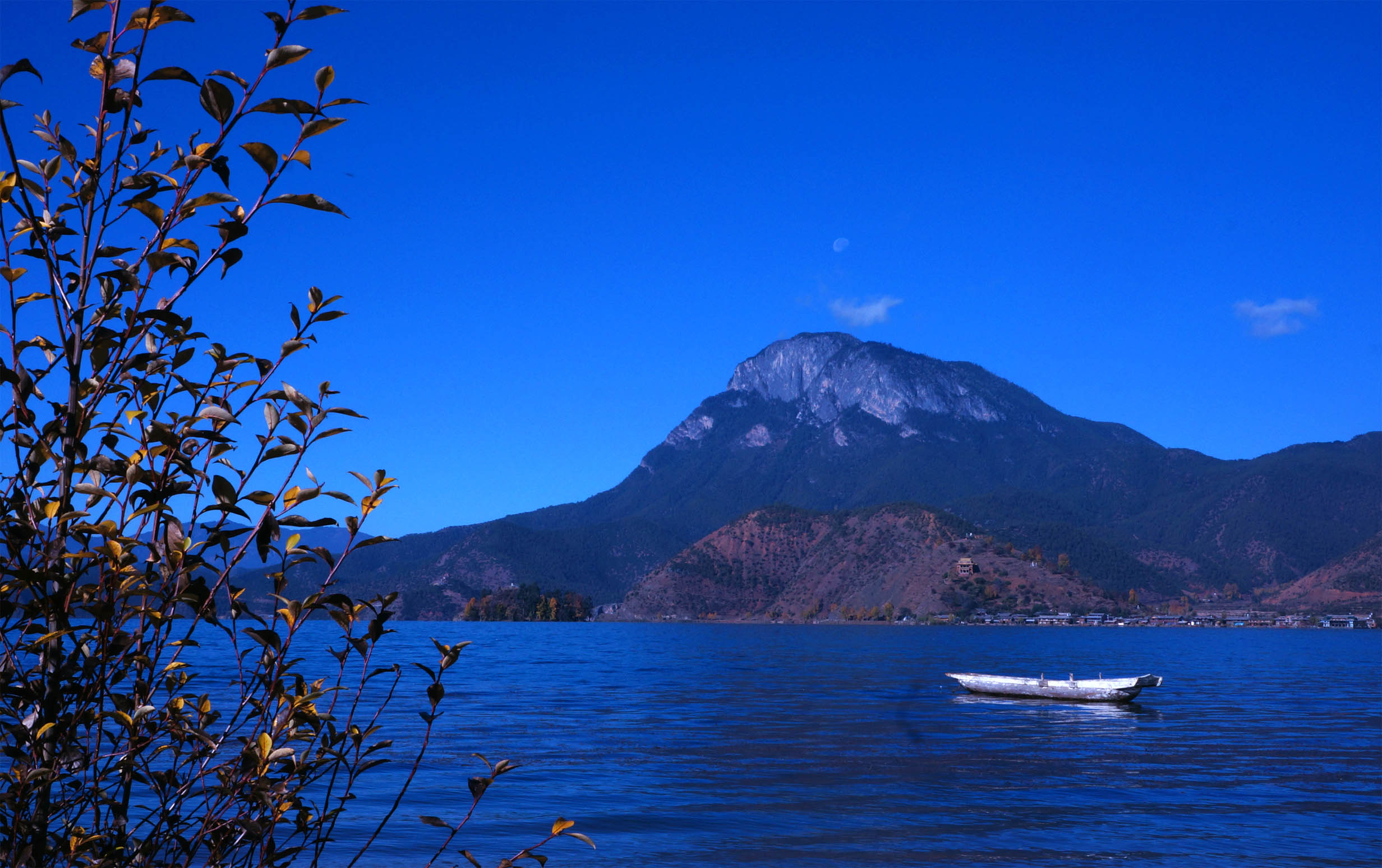 DSC078750.jpg