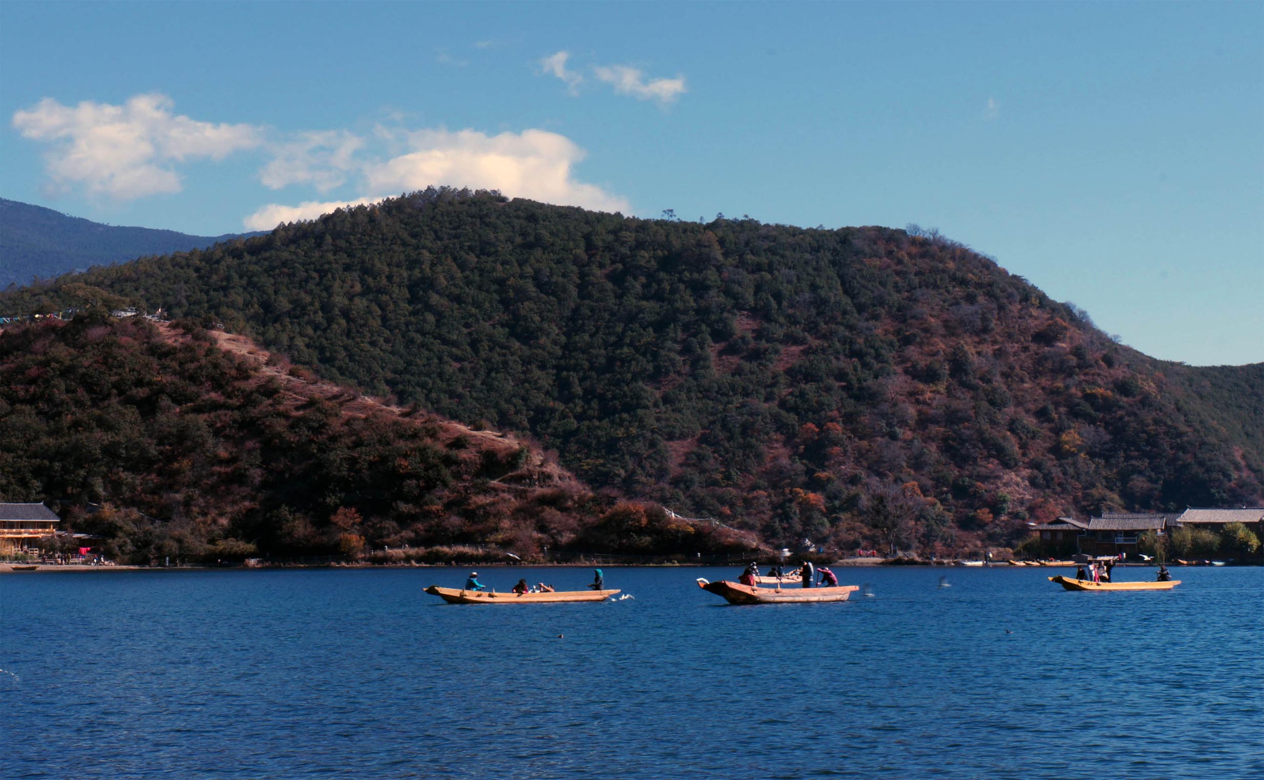 DSC079320.jpg