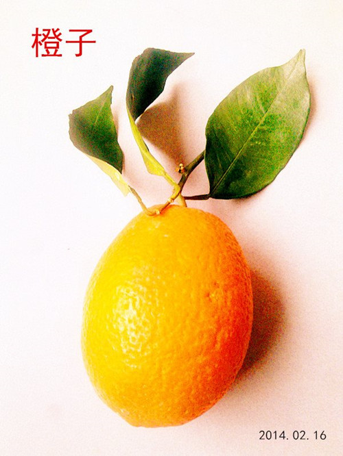 psb (2)_副本.jpg
