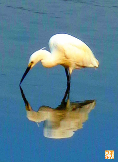 DSC02576_副本.jpg