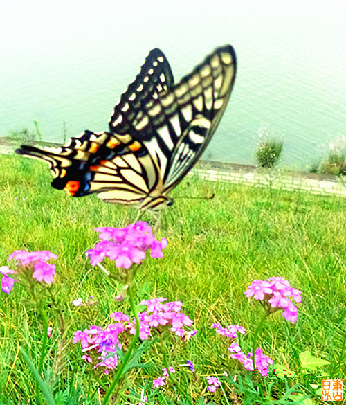 DSC04589_副本.jpg
