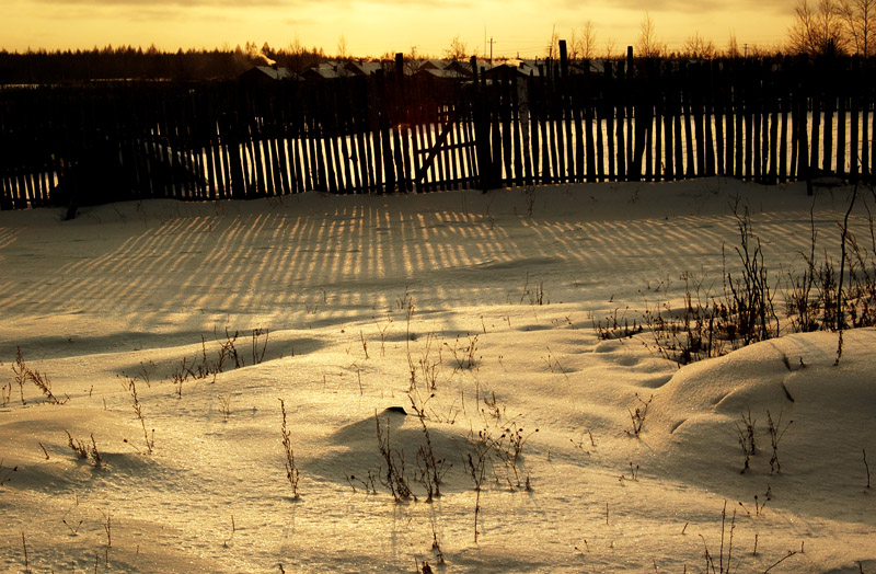 DSC_0232.jpg