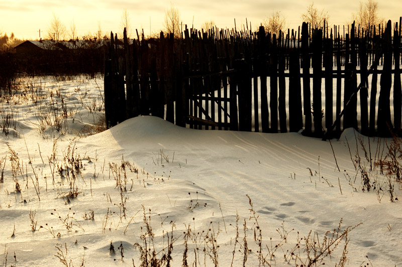 DSC_0234.jpg