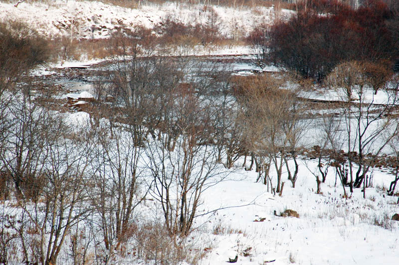 DSC_0235.jpg