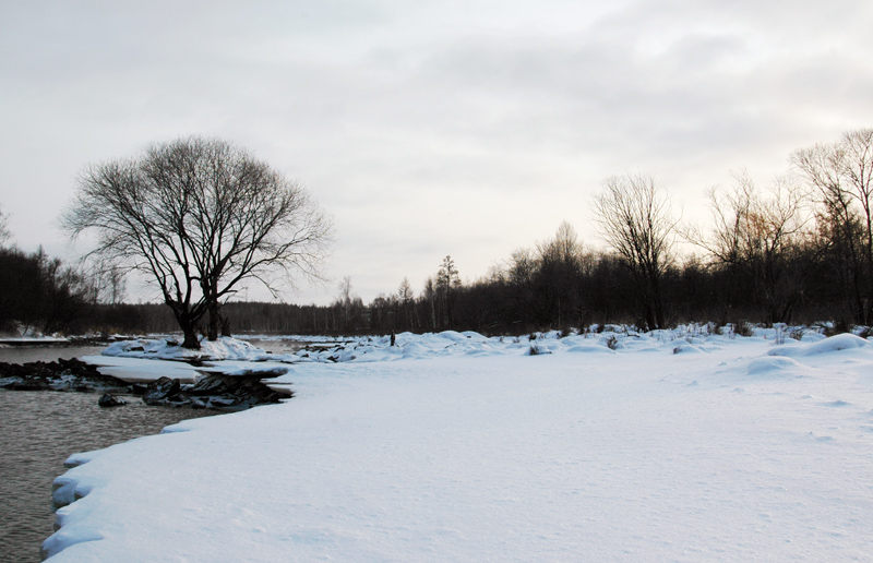 DSC_0242.jpg