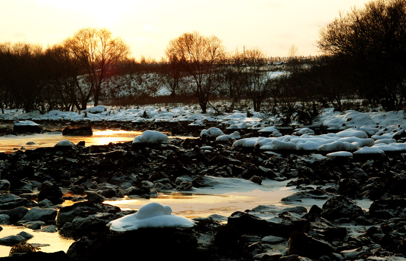DSC_0254.jpg