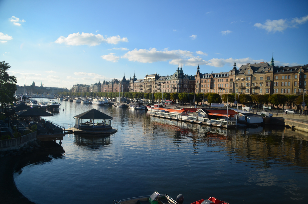 DSC_0015.jpg