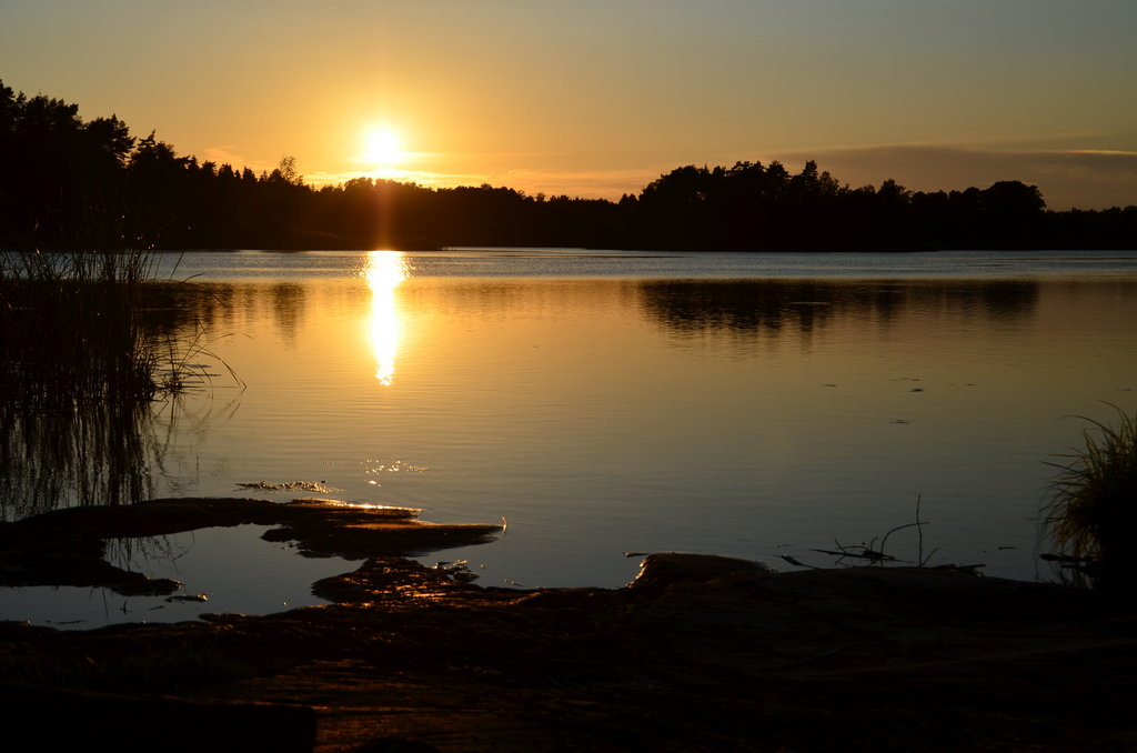 DSC_0651.jpg