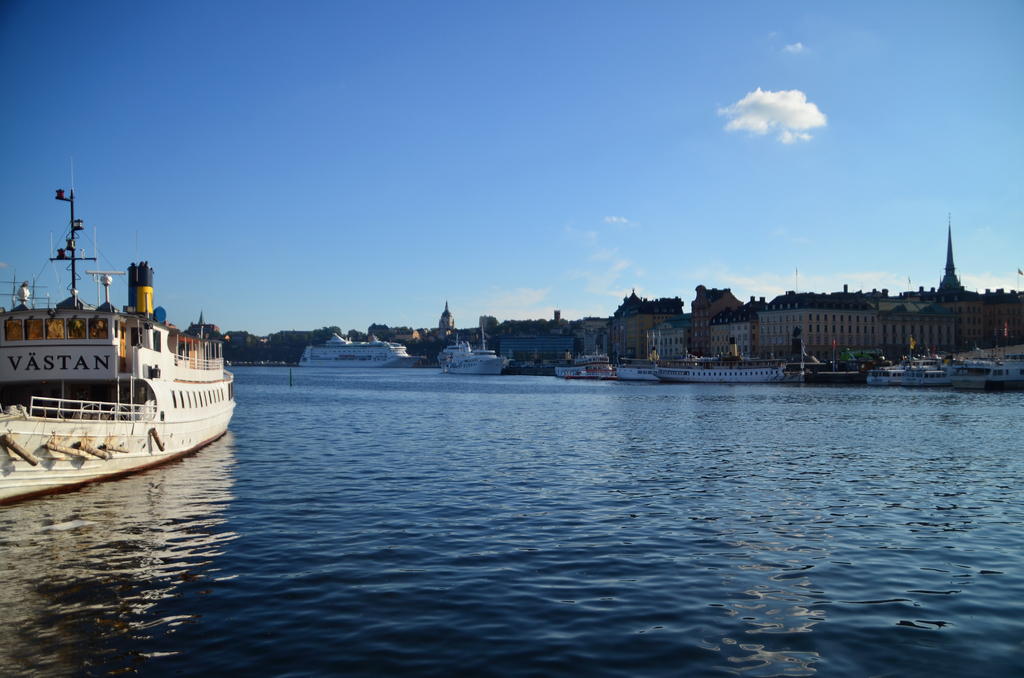 DSC_1029.jpg