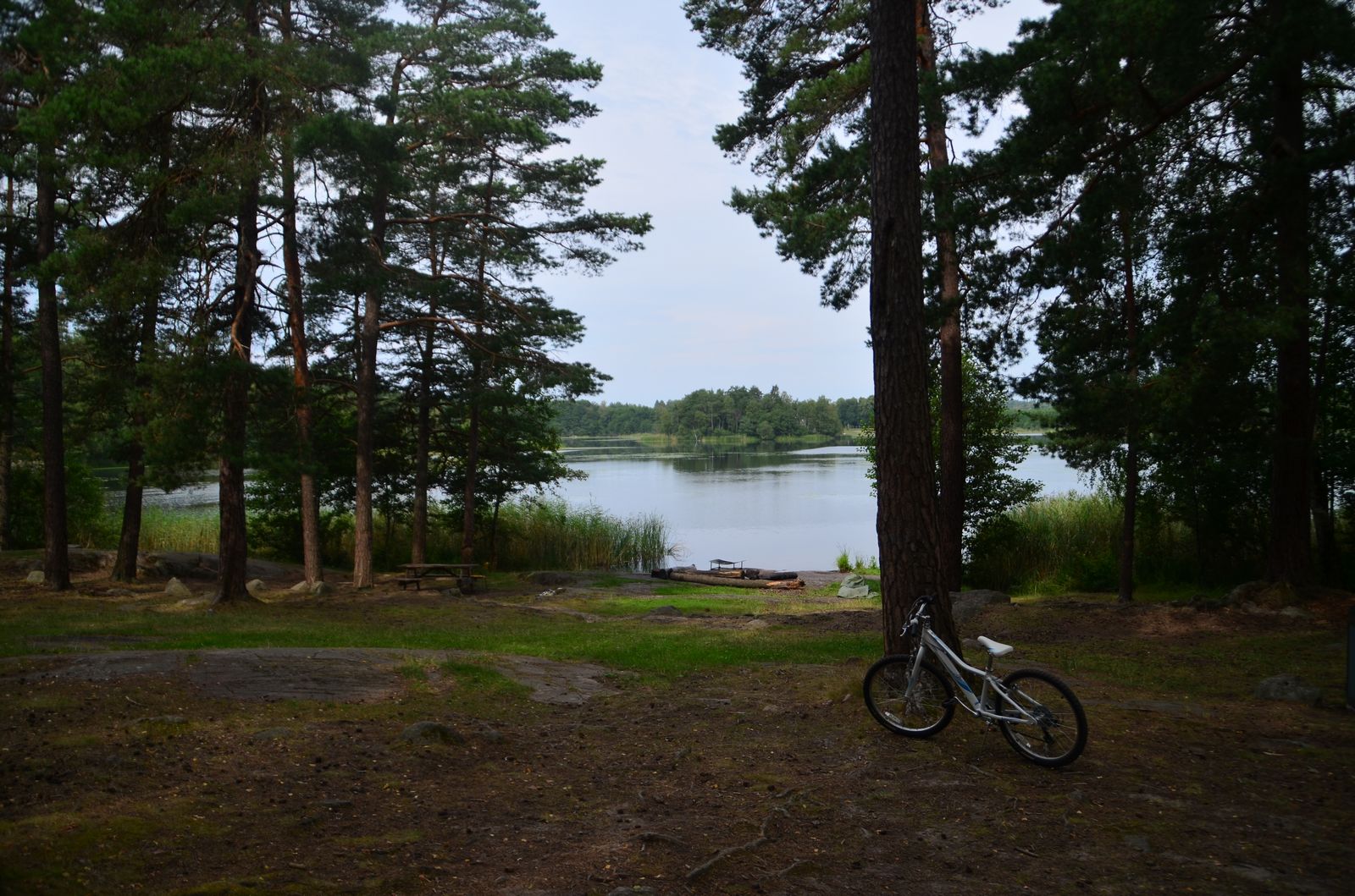 DSC_0058.jpg