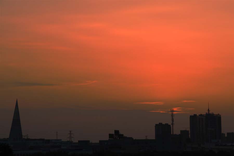 IMG_6589.jpg