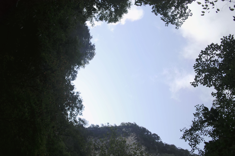 望天空.jpg