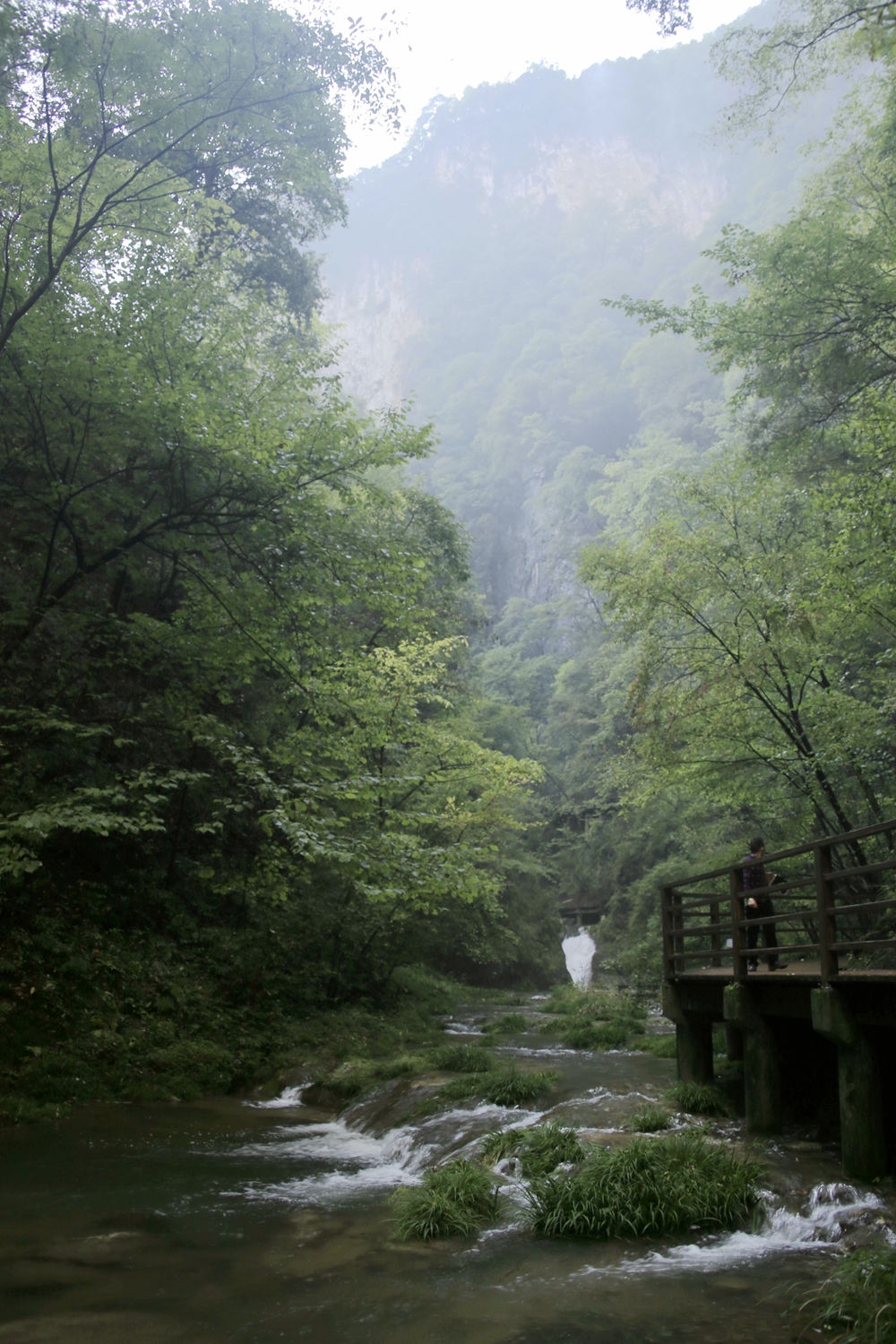 谷底溪流.jpg