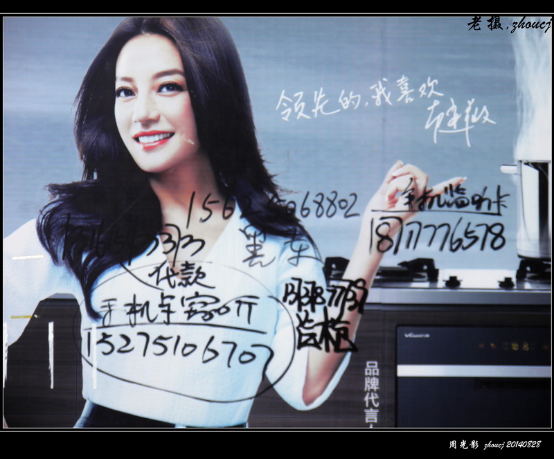 P8319836_A-800×600.jpg