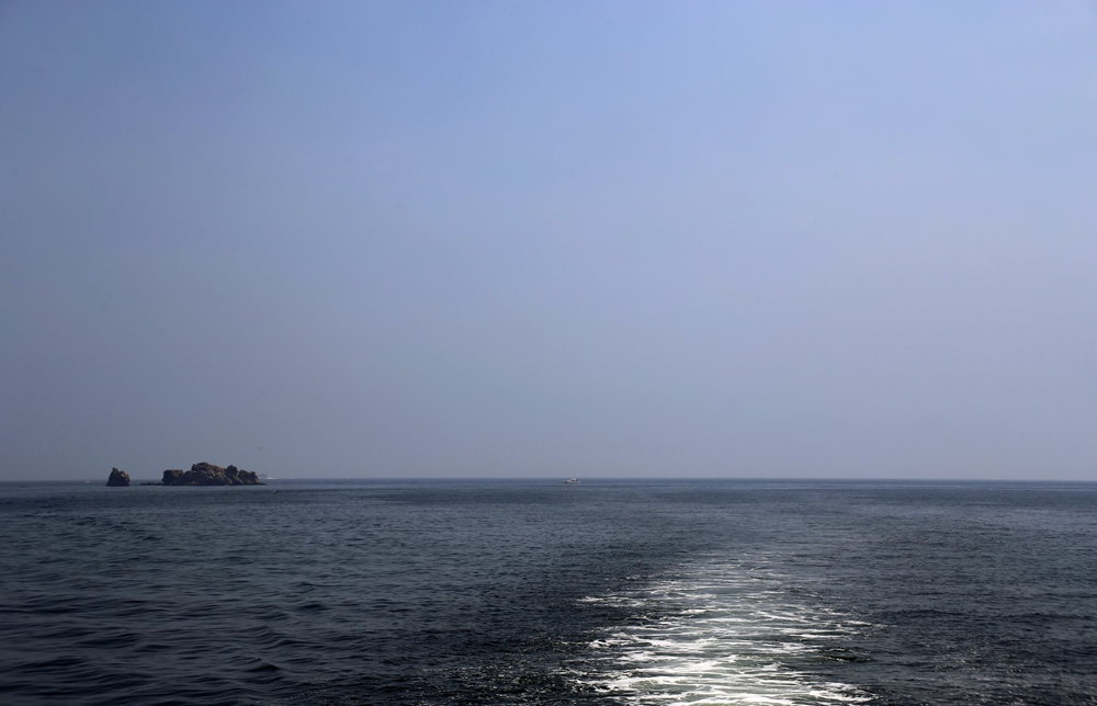 海蓝蓝.jpg