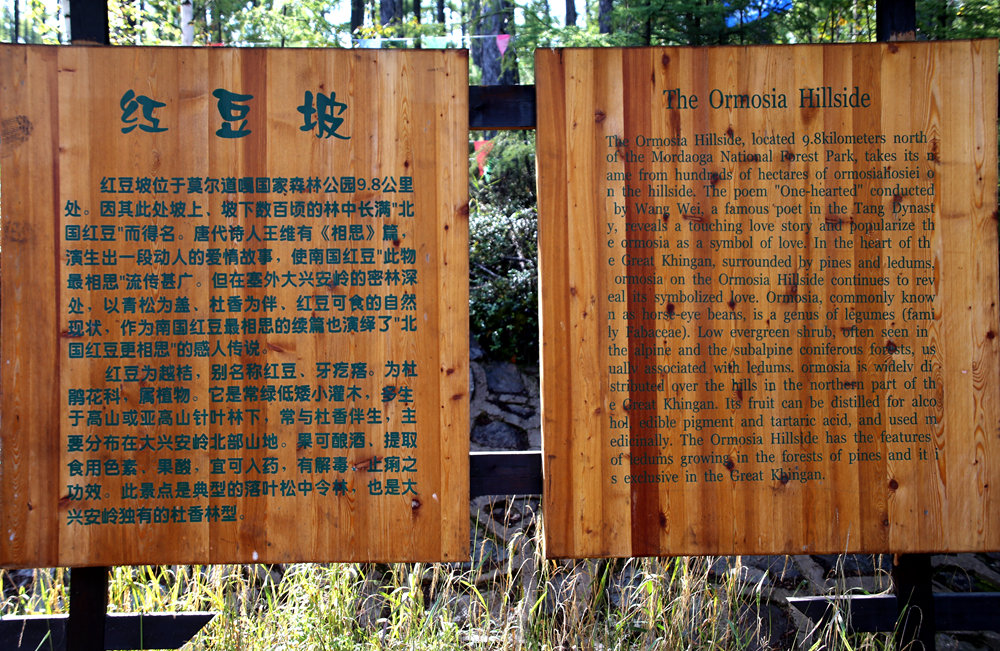 红豆坡简介.jpg