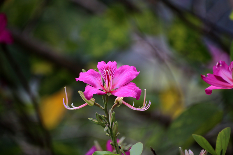 IMG_8899_副本.jpg